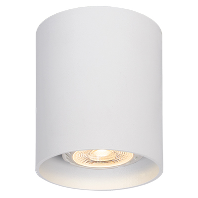 Surface aluminium downlight, non-tilt, round