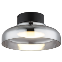 ceiling mounted light with glass shade